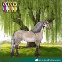 Horse Color:White Spotted Silver Brown Dun Mushroom Rabicano