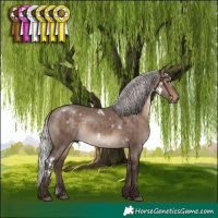 Horse Color:White Spotted Silver Brown Dun Mushroom Rabicano