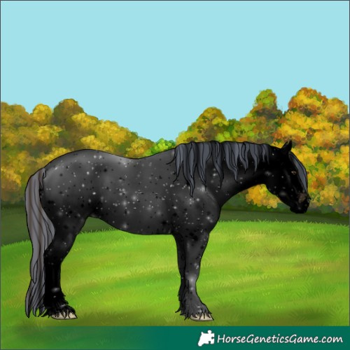 Horse Color:Void Painted White Spotted Midnight Liver Chestnut Ice 