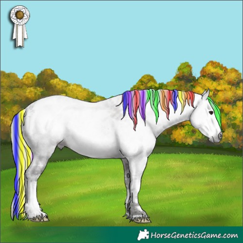 Horse Color:Gray Painted White Spotted Silver Brown Sabino Frame 