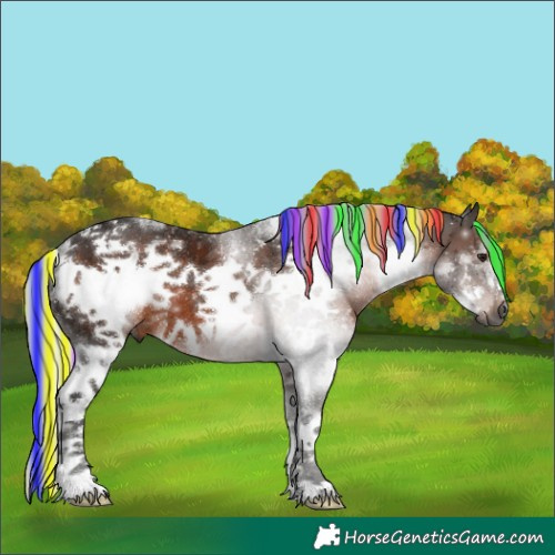 Horse Color:Gray Painted White Spotted Silver Brown Sabino Frame 