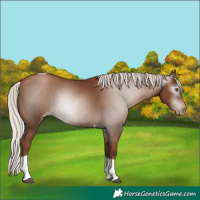 Horse Color:Gray Silver Black Pearl Tobiano 