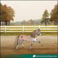 Horse Color:Liver Red Dun Sabino 