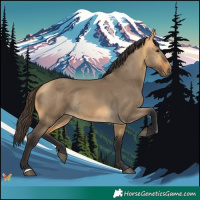 Horse Color:Buckskin Dun 