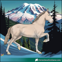 Horse Color:Perlino 