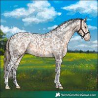 Horse Color:Buckskin Snowflake Varnish