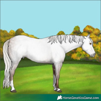 Horse Color:Gray Silver Black Pearl Tobiano 
