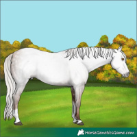 Horse Color:Gray Silver Black Pearl Tobiano 