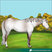 Horse Color:Gray Silver Black Pearl Tobiano