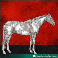 Horse Color:White Spotted Silver Black Ice Rabicano
