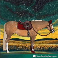 Horse Color:Chocolate Palomino 