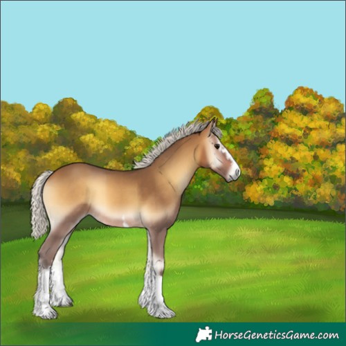 Horse Color:White Spotted Silver Buckskin Onyx 