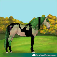 Horse Color:Void Watercolor Buckskin Tobiano