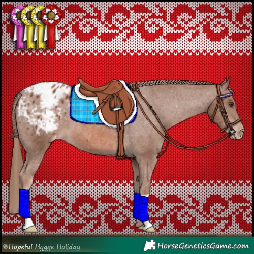 Horse Color:Chestnut Appaloosa 