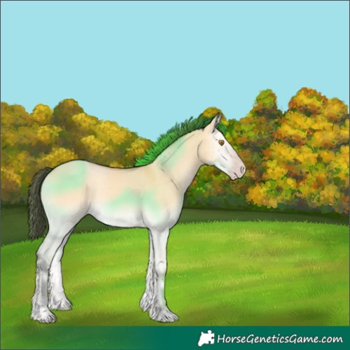 Horse Color:Amber Cream Champagne Onyx 