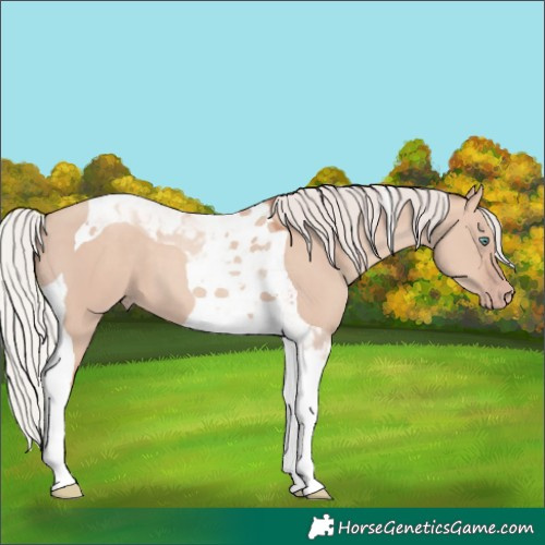 Horse Color:Silver Classic Champagne Dun Mushroom Tobiano 