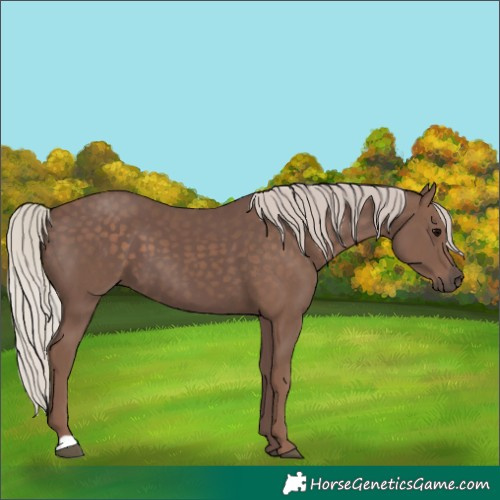 Horse Color:Silver Black 