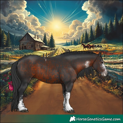 Horse Color:Black Tobiano  and White Spotted Brown 