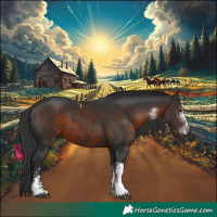 Horse Color:Black Tobiano  and White Spotted Brown 