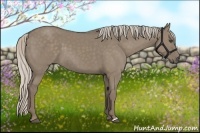 Horse Color:Silver Grullo 