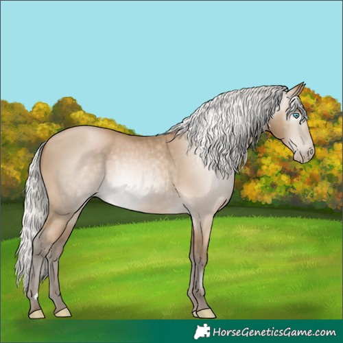 Horse Color:Gray Silver Buckskin Pearl 