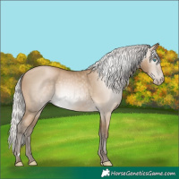 Horse Color:Gray Silver Buckskin Pearl 