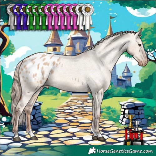 Horse Color:Red Dun Tobiano Appaloosa 