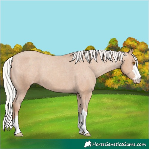 Horse Color:Silver Classic Champagne Varnish
