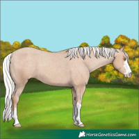 Horse Color:Silver Classic Champagne Appaloosa 