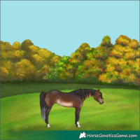 Horse Color:Brown 