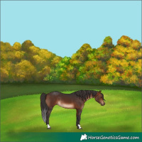 Horse Color:Brown 