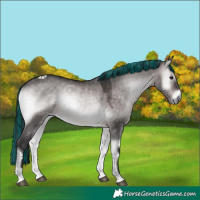 Horse Color:Platinum Painted Brown Onyx 