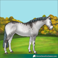 Horse Color:Platinum Painted White Spotted Brown Onyx 