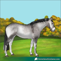 Horse Color:Platinum White Spotted Brown Onyx 