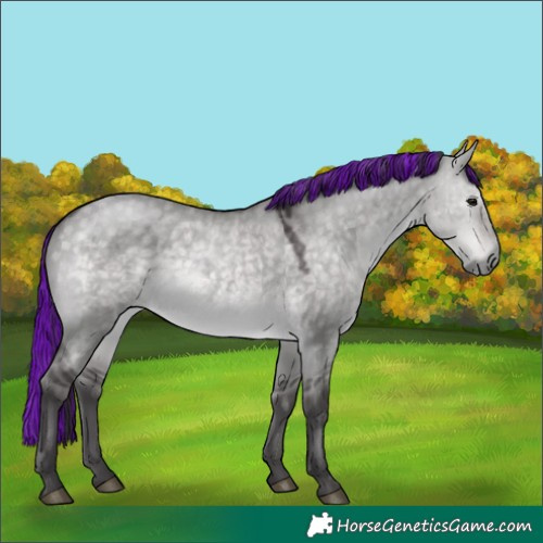 Horse Color:Platinum Painted Buckskin Dun 