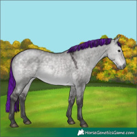Horse Color:Platinum Painted Buckskin Dun 