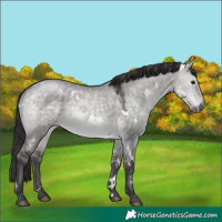 Horse Color:Platinum White Spotted Buckskin Dun 