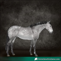 Horse Color:Platinum White Spotted Buckskin Dun 