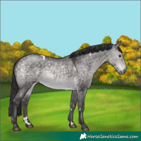 Horse Color:Platinum White Spotted Buckskin Dun 