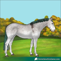 Horse Color:Platinum Painted White Spotted Bay Dun 