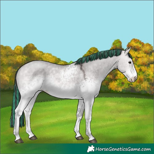 Horse Color:Platinum Painted White Spotted Buckskin Dun
