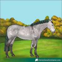 Horse Color:Platinum Painted White Spotted Buckskin Dun 
