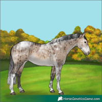 Horse Color:Brown Dun Tobiano Brindle 