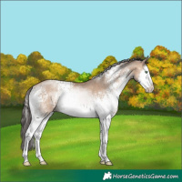 Horse Color:White Spotted Sable Champagne Dun Sabino Splash Rabicano