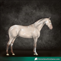 Horse Color:White Spotted Sable Champagne Dun Sabino Rabicano
