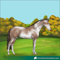 Horse Color:White Spotted Classic Champagne Sabino 