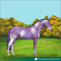 Horse Color:Watercolor White Spotted Classic Champagne Sabino 