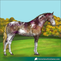Horse Color:Gray Painted White Spotted Silver Bay Ice Onyx Tobiano 