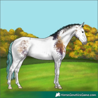 Horse Color:Gray Painted White Spotted Bay Onyx Tobiano 