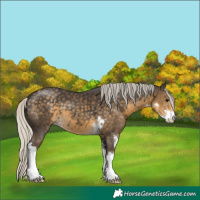 Horse Color:Silver Smoky Black Sabino